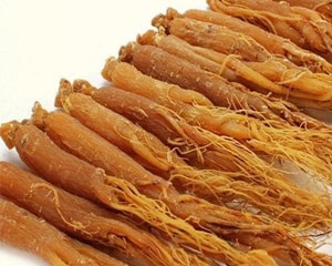 Korean red ginseng